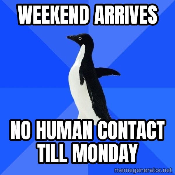 Socially Awkward Penguin meme: weekend arrives / no human contact till monday