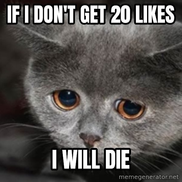 Sadcat meme: if i don't get 20 likes / i will die