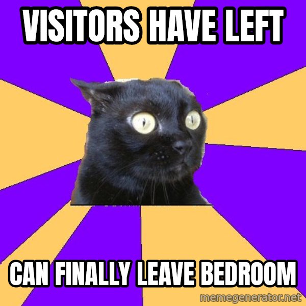 Anxiety Cat meme: VISITORS HAVE LEFT / CAN FINALLY LEAVE BEDROOM