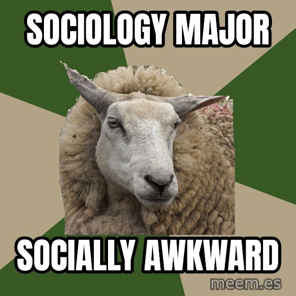Sociology Student Sheep meme: sociology major / socially awkward