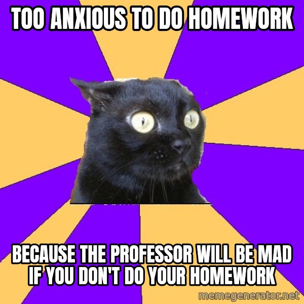 Anxiety Cat meme: Too anxious to do homework / because the professor will be mad if you don't do your homework