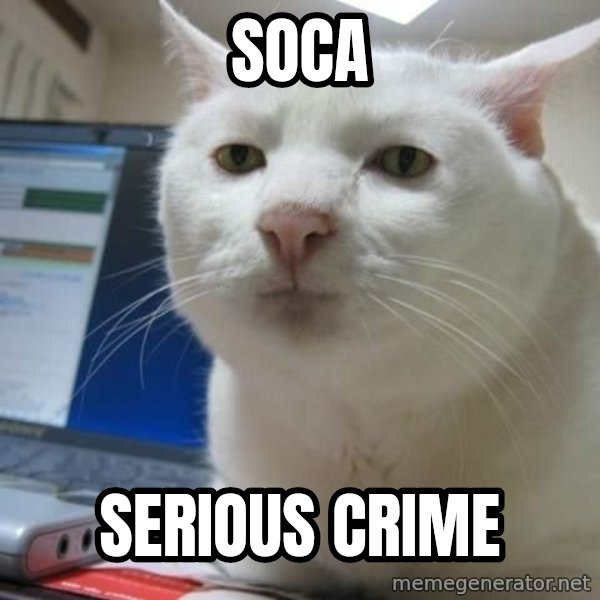 Serious Cat meme: SOCA / serious crime