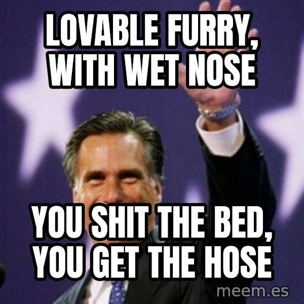 Mitt Romney meme: lovable Furry, with wet nose / You shit the bed, you get the hose