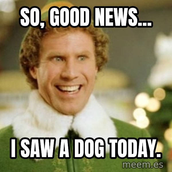 Buddy the Elf meme: So, good news... / I saw a dog today.