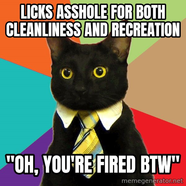 Business Cat meme: licks asshole for both cleanliness and recreation / "oh, you're fired BTW"