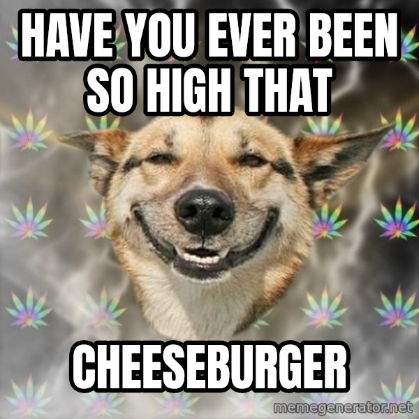 Stoner Dog meme: have you ever been so high that / cheeseburger