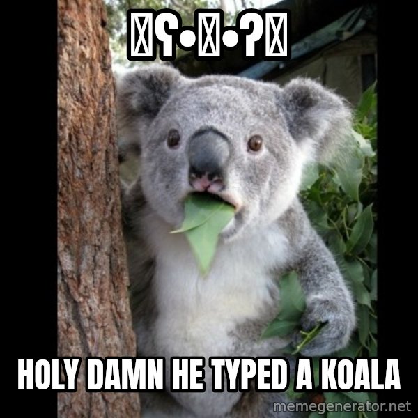 Koala can't believe it meme: ლʕ•ᴥ•ʔლ / holy damn he typed a koala