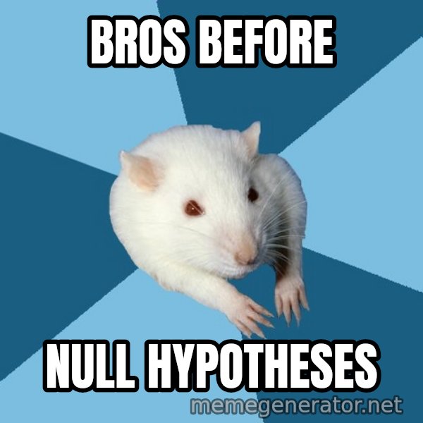 Psychology Major Rat meme: Bros before / null hypotheses