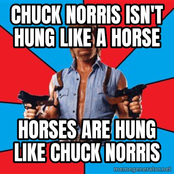 Chuck Norris  meme: Chuck Norris isn't hung like a horse / horses are hung like chuck norris