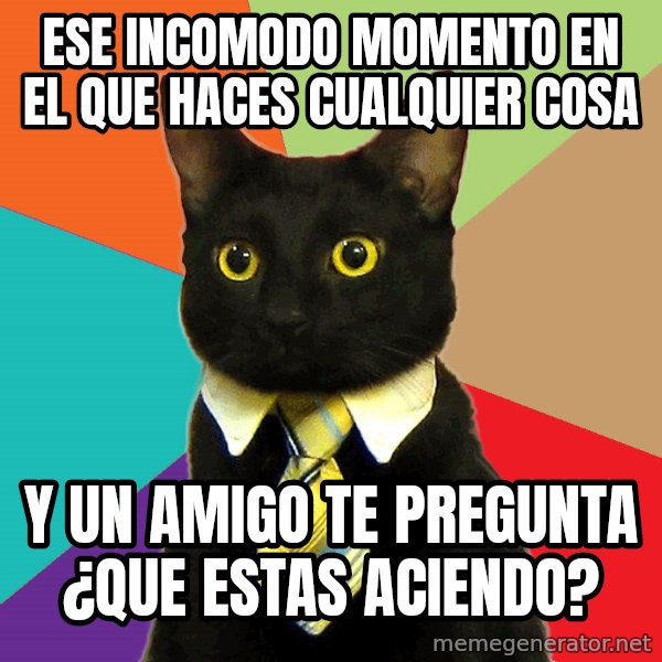 Business Cat meme: ese incomodo momento en el que haces cualquier cosa / y un amigo te pregunta ¿que estas aciendo?