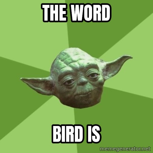 Advice Yoda Gives meme: The word / bird is