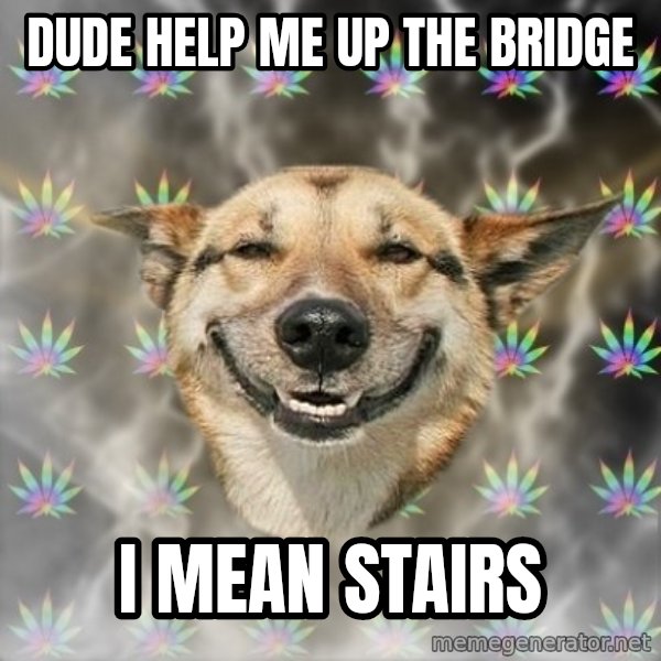 Stoner Dog meme: DUDE HELP ME UP THE BRIDGE / I MEAN STAIRS