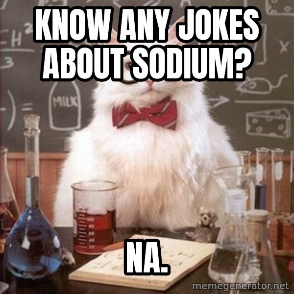 Chemistry Cat meme: Know any jokes about sodium? / Na.