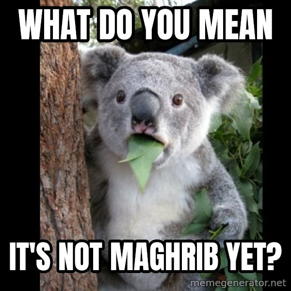 Koala can't believe it meme: what do you mean / it's not maghrib yet?