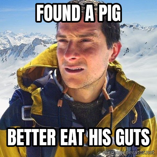 Bear Grylls meme: found a pig / better eat his guts