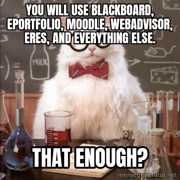 Chemistry Cat meme: you will use blackboard, eportfolio, moodle, webadvisor, eres, and everything else. / that enough?