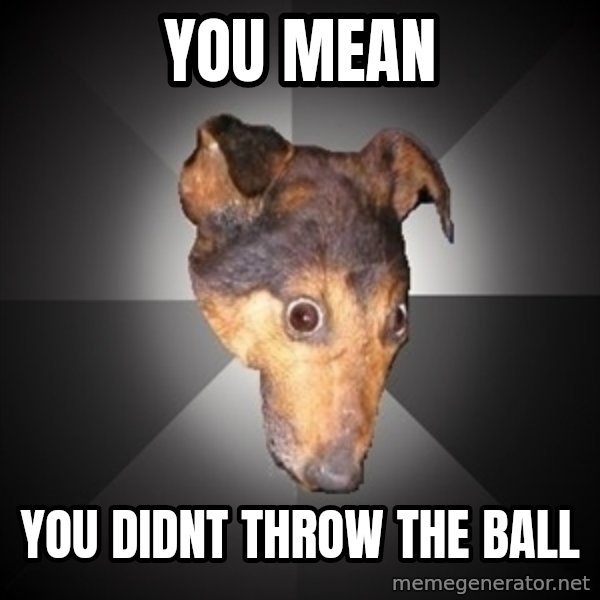 Depression Dog meme: you mean / you didnt throw the ball