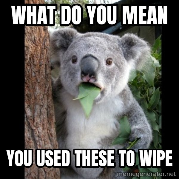 Koala can't believe it meme: WHAT DO YOU MEAN / YOu used these to wipe
