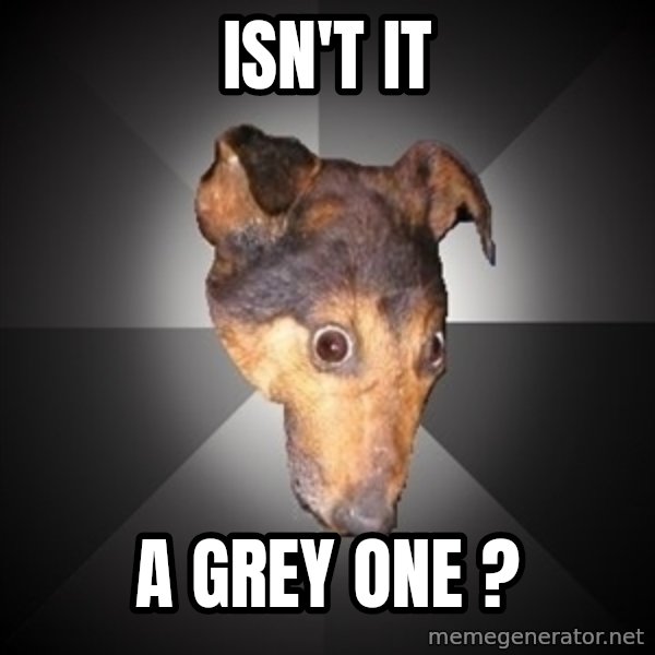 Depression Dog meme: Isn't it / A GREY ONE ?