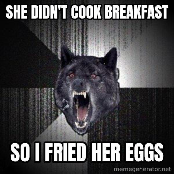 Insanity Wolf meme: SHE DIDN'T COOK BREAKFAST / SO I FRIED HER EGGS