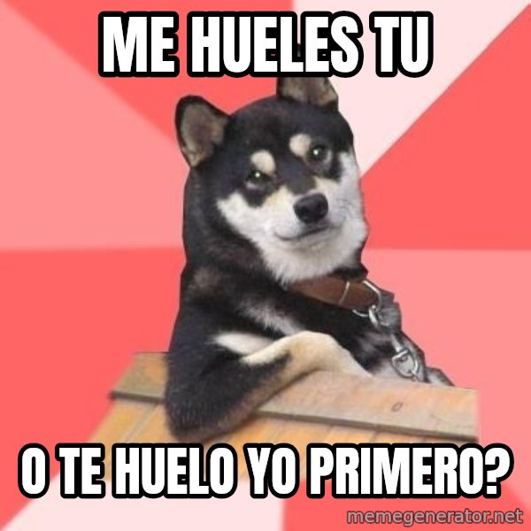 Cool Dog meme: ME HUELES TU / O TE HUELO YO PRIMERO?