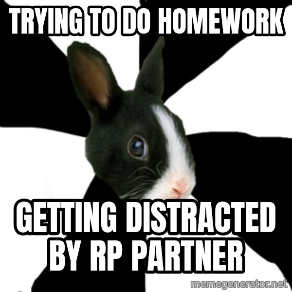 Roleplaying Rabbit meme: Trying to do homework / getting distracted by rp partner