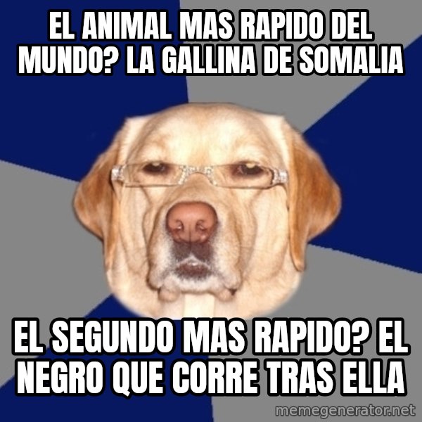 Racist Dawg meme: EL ANIMAL MAS RAPIDO DEL MUNDO? LA GALLINA DE SOMALIA / EL SEGUNDO MAS RAPIDO? EL NEGRO QUE CORRE TRAS ELLA