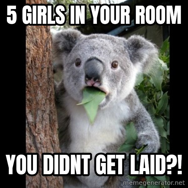 Koala can't believe it meme: 5 girls in your room / You didnt get laid?!