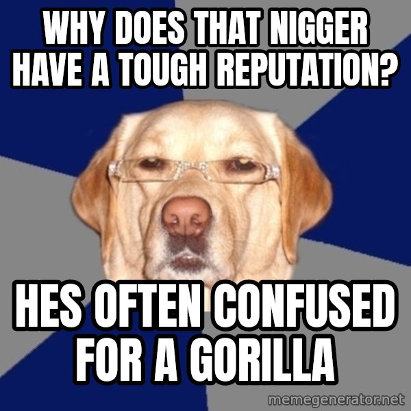 Racist Dawg meme: why does that nigger have a tough reputation? / hes often confused for a gorilla