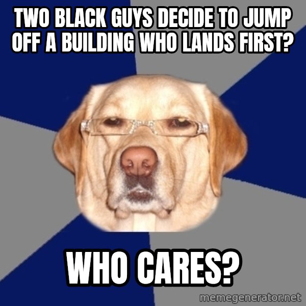 Racist Dog meme: two black guys decide to jump off a building who lands first? / who cares?