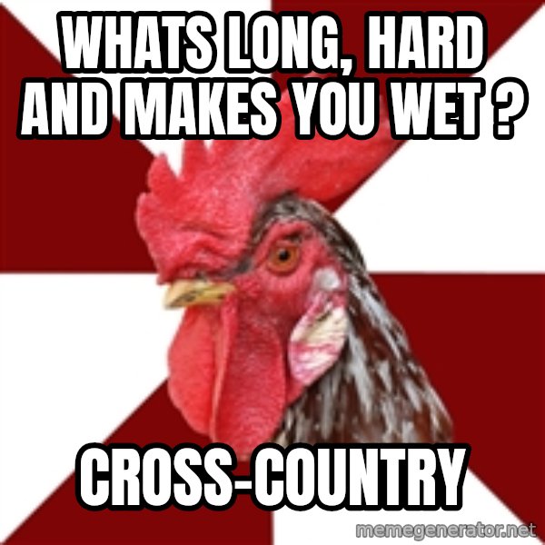 Roleplaying Rooster meme: Whats long, hard and makes you wet ? / Cross-country