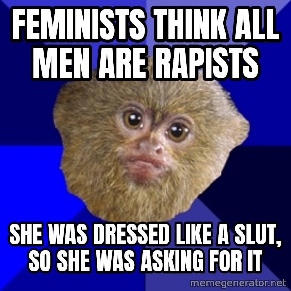 Mra Marmoset meme: FEMINISTS THINK ALL MEN ARE RAPISTS / SHE WAS DRESSED LIKE A SLUT, SO SHE WAS ASKING FOR IT