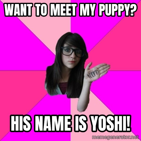 Idiot Nerd Girl meme: want to meet my puppy? / his name is yoshi!