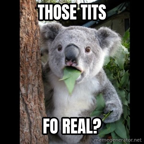 Koala can't believe it meme: Those tits / Fo real?