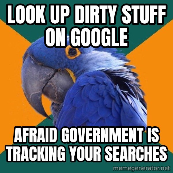 Paranoid Parrot meme: look up dirty stuff on google / afraid government is tracking your searches