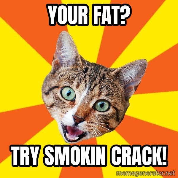 Bad Advice Cat meme: your fat? / try smokin crack!