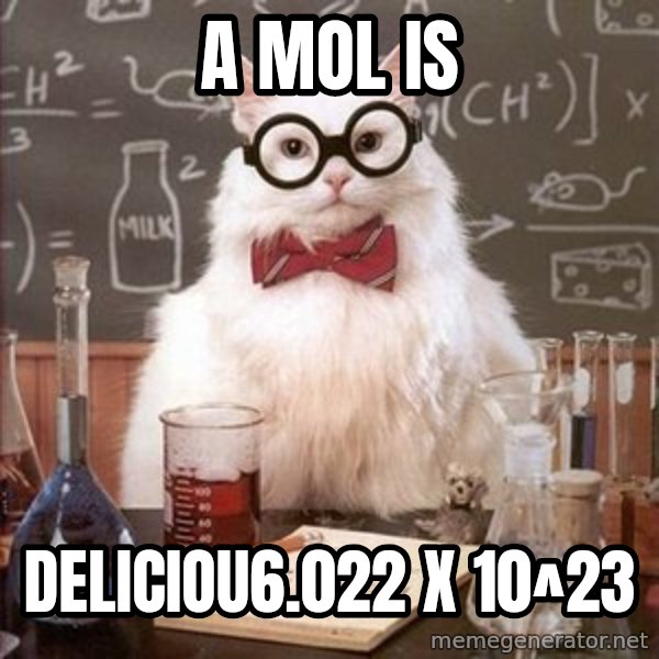 Chemistry Cat meme: a mol is / deliciou6.022 x 10^23