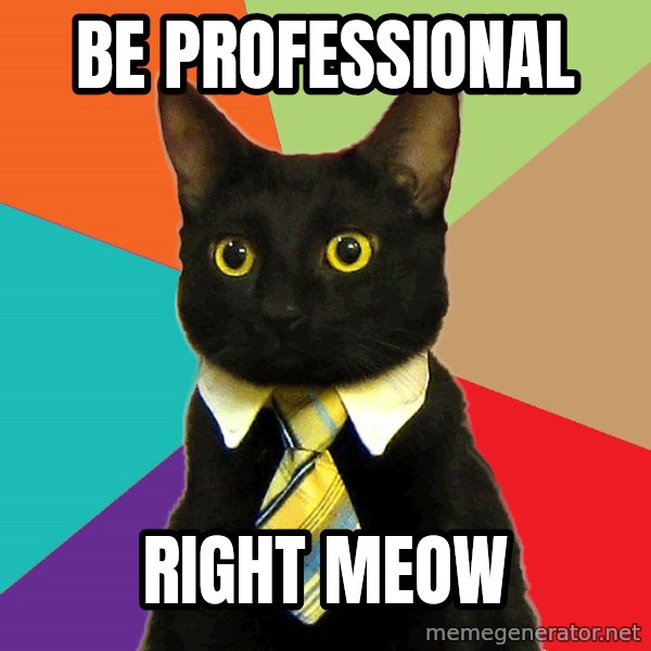 Business Cat meme: BE PROFESSIONAL / RIGHT MEOW
