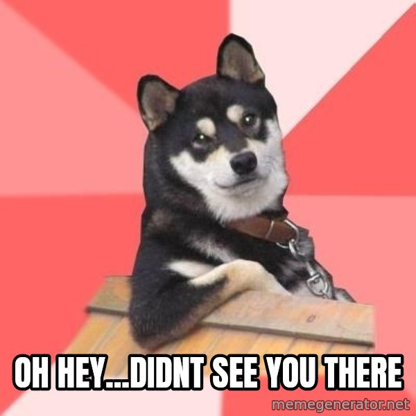 Cool Dog meme: Oh hey...Didnt see you there