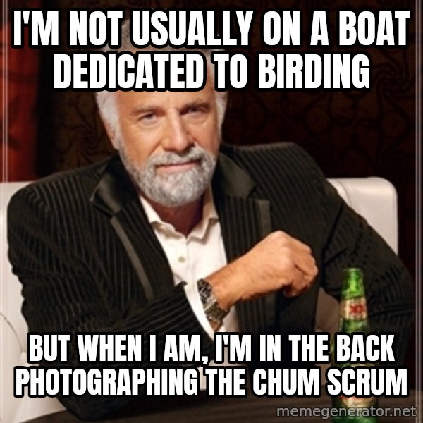 Dos Equis Guy gives advice meme: I'm not Usually on a boat Dedicated to Birding / But when I am, I'm in the back photographing the Chum Scrum