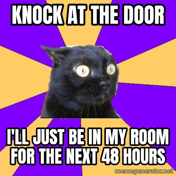 Anxiety Cat meme: knock at the door / i'll just be in my room for the next 48 hours
