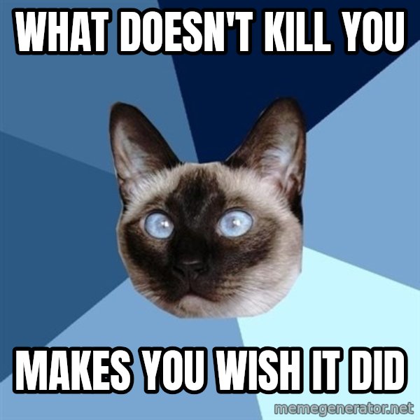 Chronic Illness Cat meme: What doesn't kill you / makes you wish it did
