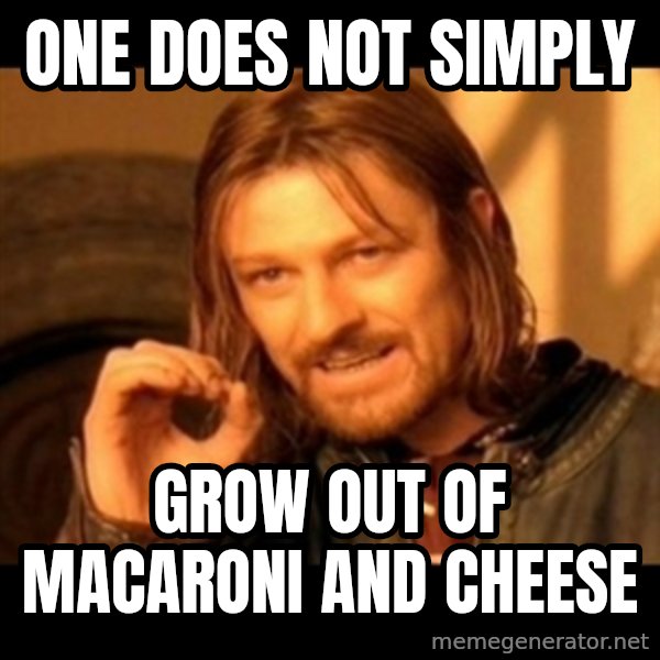 One Does Not Simply meme: ONE DOES NOT SIMPLY / grow out of macaroni and cheese