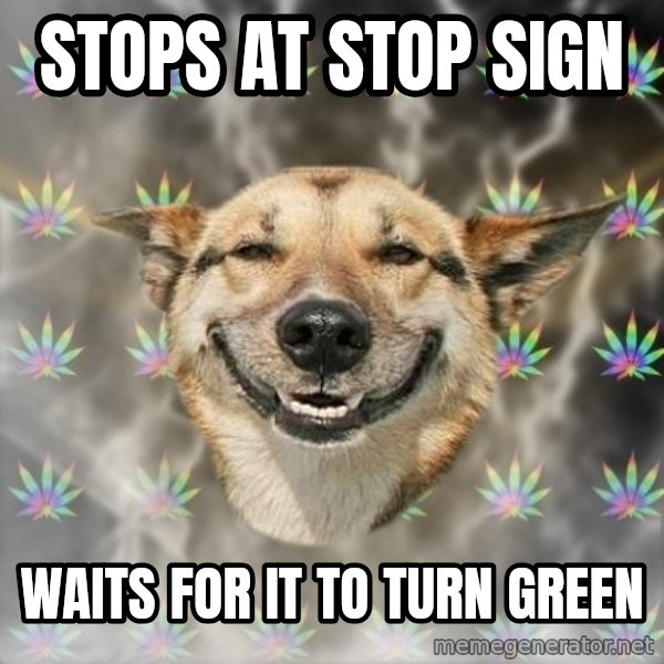 Stoner Dog meme: Stops at Stop Sign / waits for it to turn green