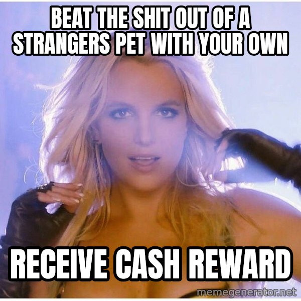 Professor Oak meme: BEAT THE SHIT OUT OF A STRANGERS PET WITH YOUR OWN / RECEIVE CASH REWARD
