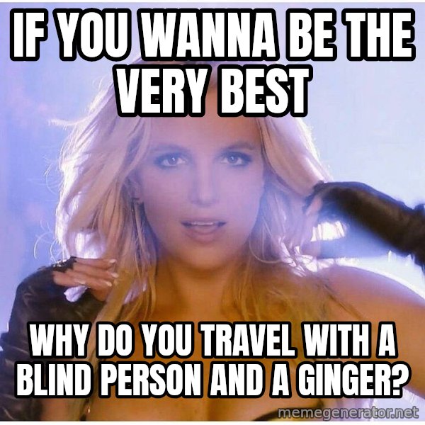 Professor Oak meme: if you wanna be the very best / why do you travel with a blind person and a ginger?