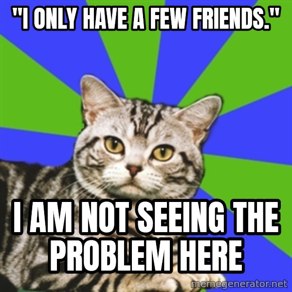 Introvert Cat meme: "I only have a few friends." / I am not seeing the problem here
