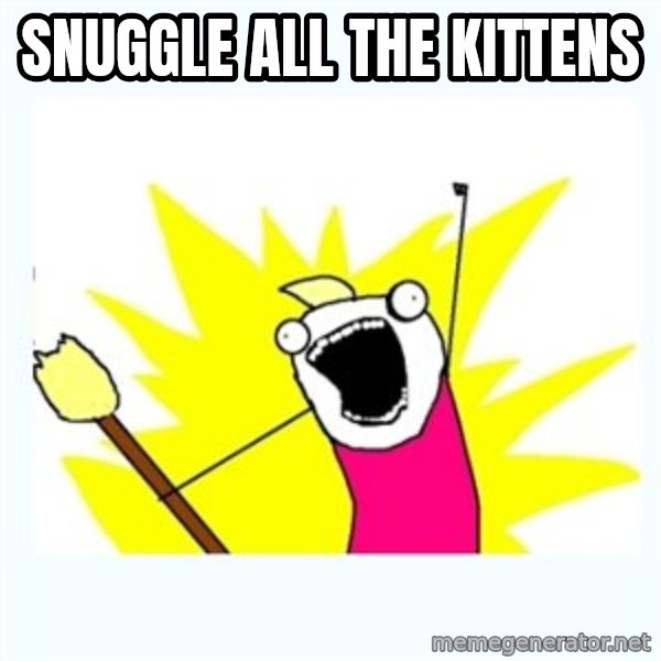 All the things meme: SNUGGLE ALL THE KITTENS