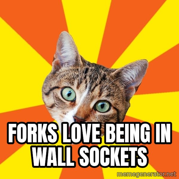 Bad Advice Cat meme: forks love being in wall sockets