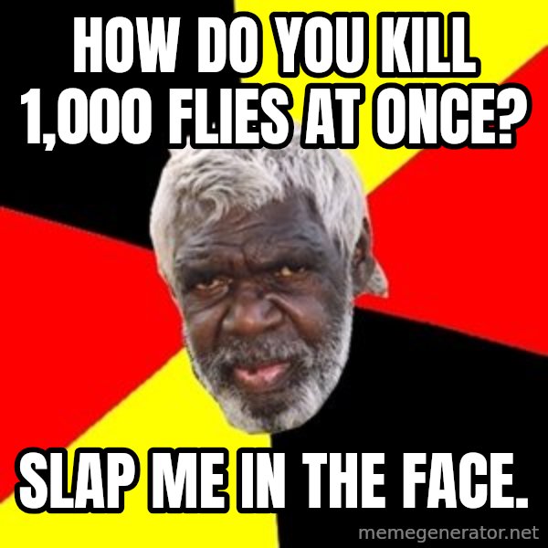 Aboriginal meme: how do you kill 1,000 flies at once? / slap me in the face.